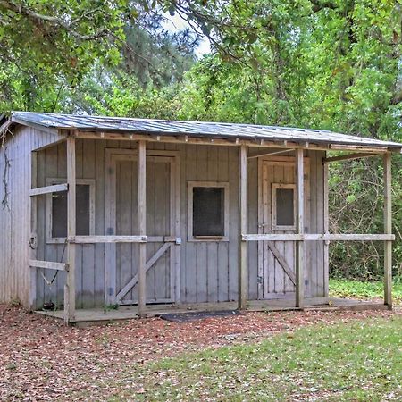 Secluded And Quiet Coastal Home 1 Mile To Boat Ramp Sealevel Buitenkant foto